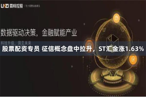 股票配资专员 征信概念盘中拉升，ST汇金涨1.63%