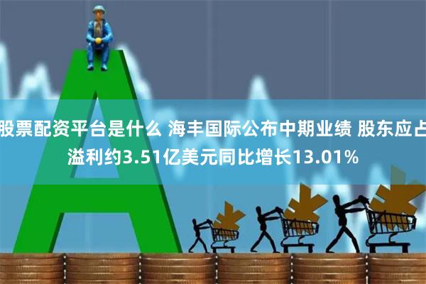 股票配资平台是什么 海丰国际公布中期业绩 股东应占溢利约3.51亿美元同比增长13.01%