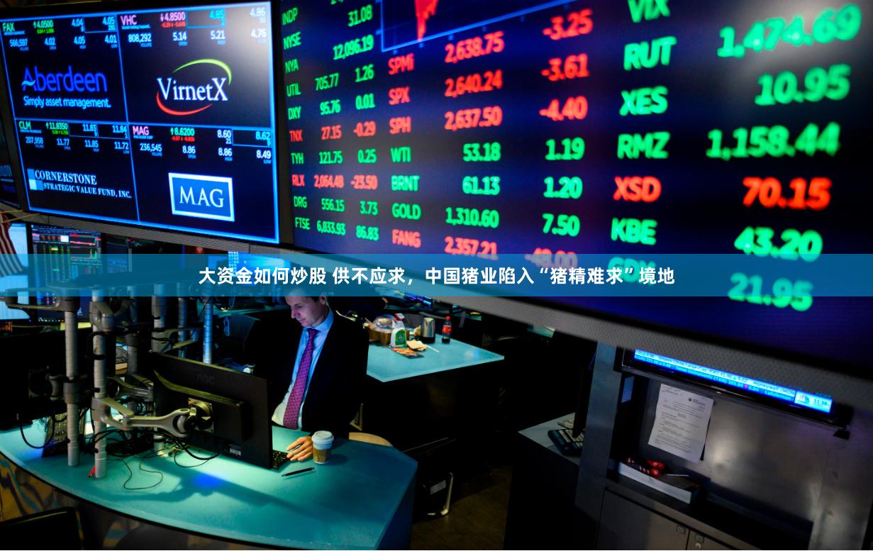 大资金如何炒股 供不应求，中国猪业陷入“猪精难求”境地