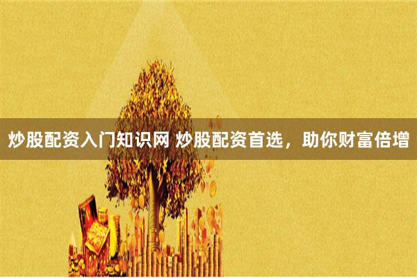 炒股配资入门知识网 炒股配资首选，助你财富倍增